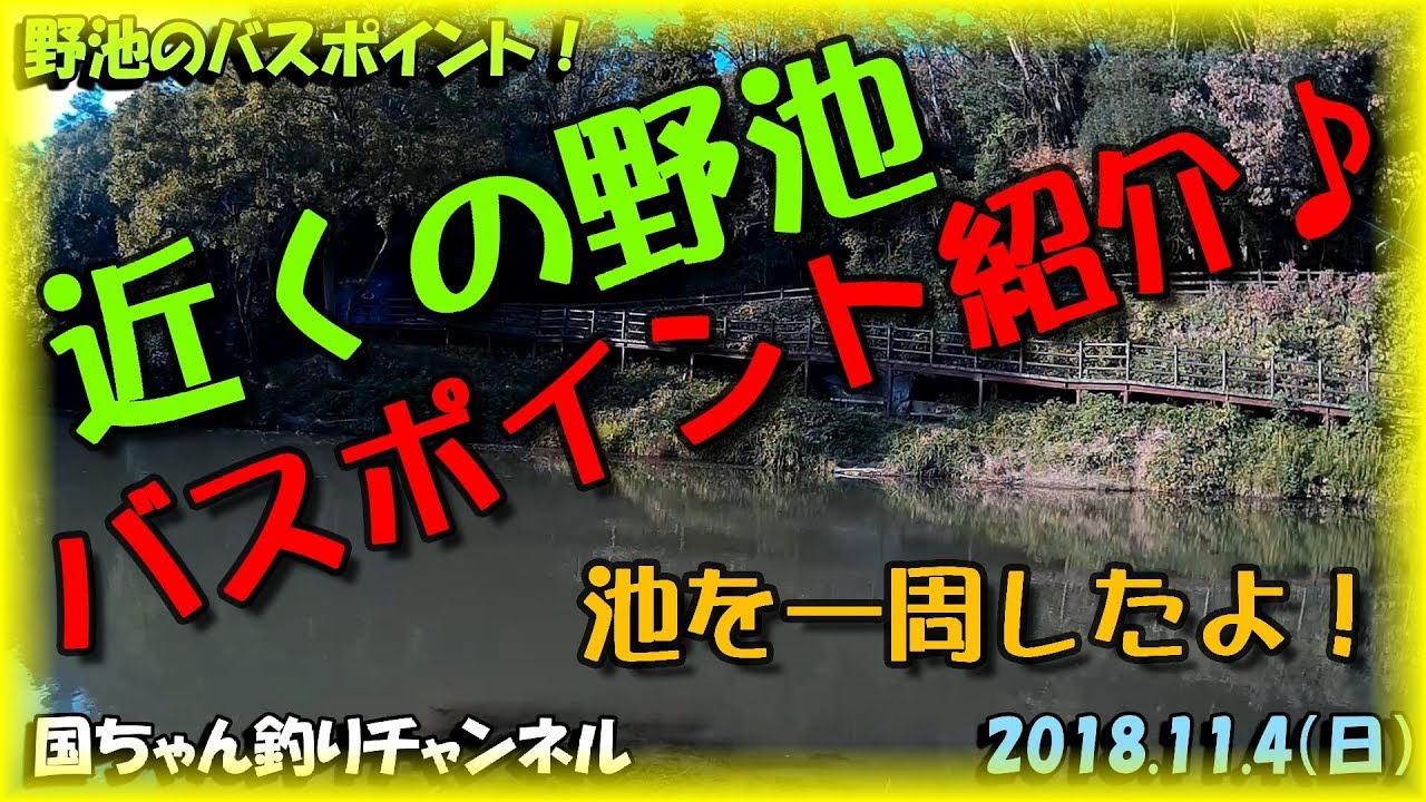 国ちゃん 近くの野池でバス釣り ポイント紹介 恩智惣池 大阪府 八尾市 ワーム テキサスリグ スピナーベイト ルアーフィッシング You Tube 初心者 素人 釣りtubeチャンネル