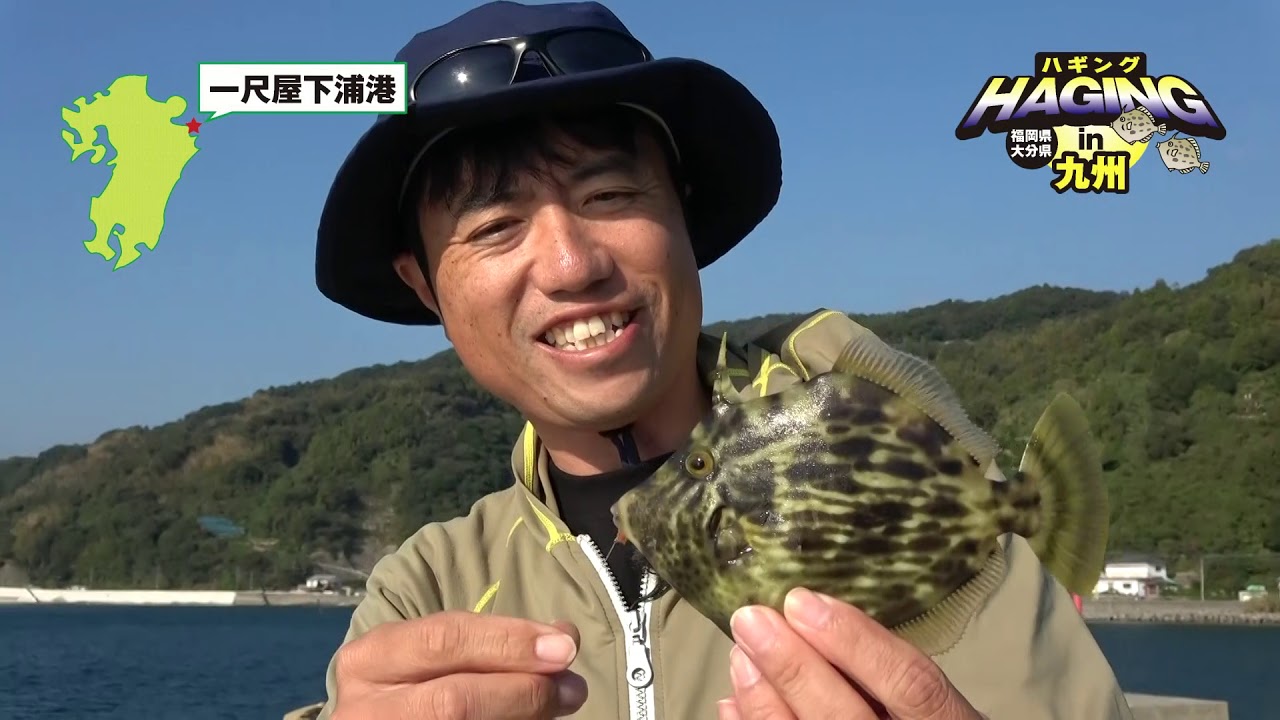 パワーイソメ カワハギ釣り ハギング In 九州 釣りtubeチャンネル