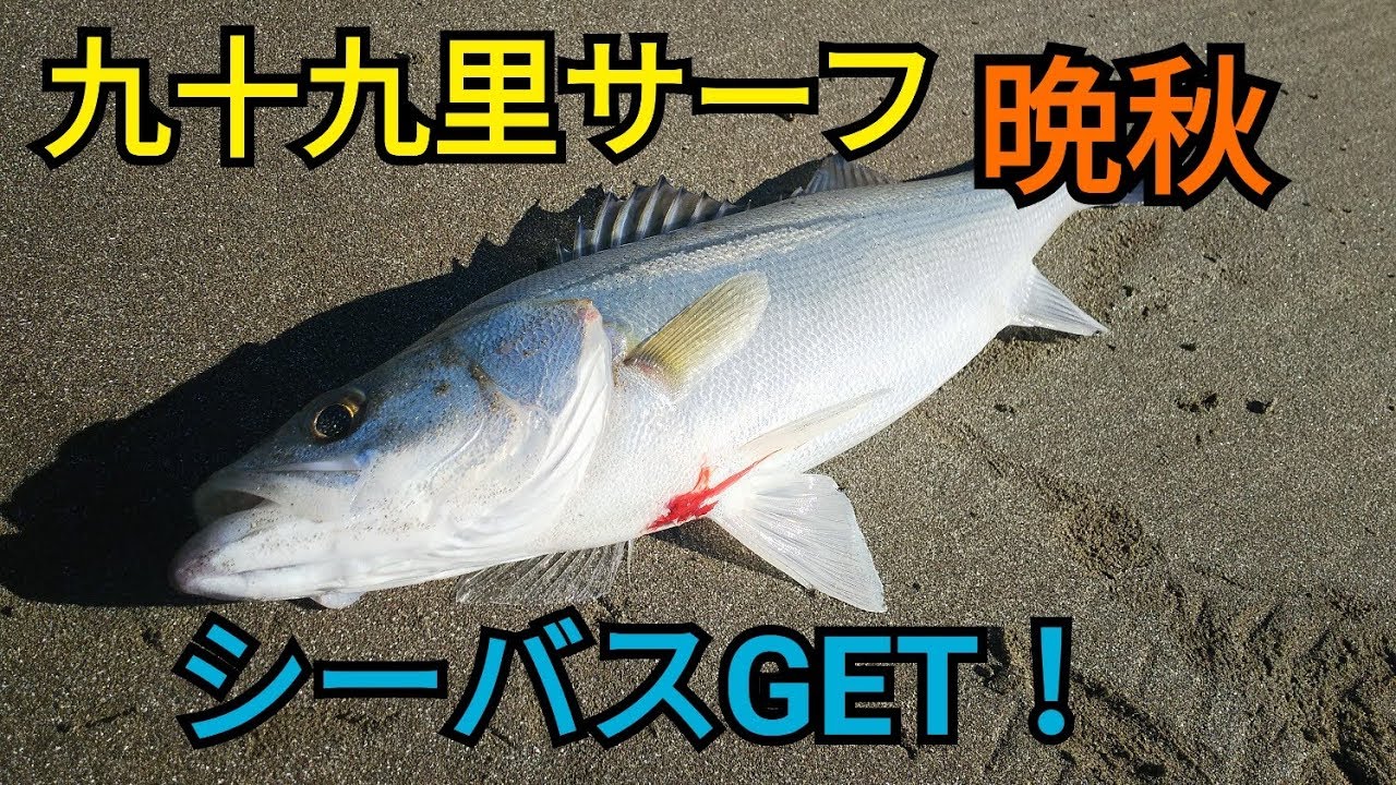 シーバス 九十九里サーフ ルアー釣り 釣りtubeチャンネル