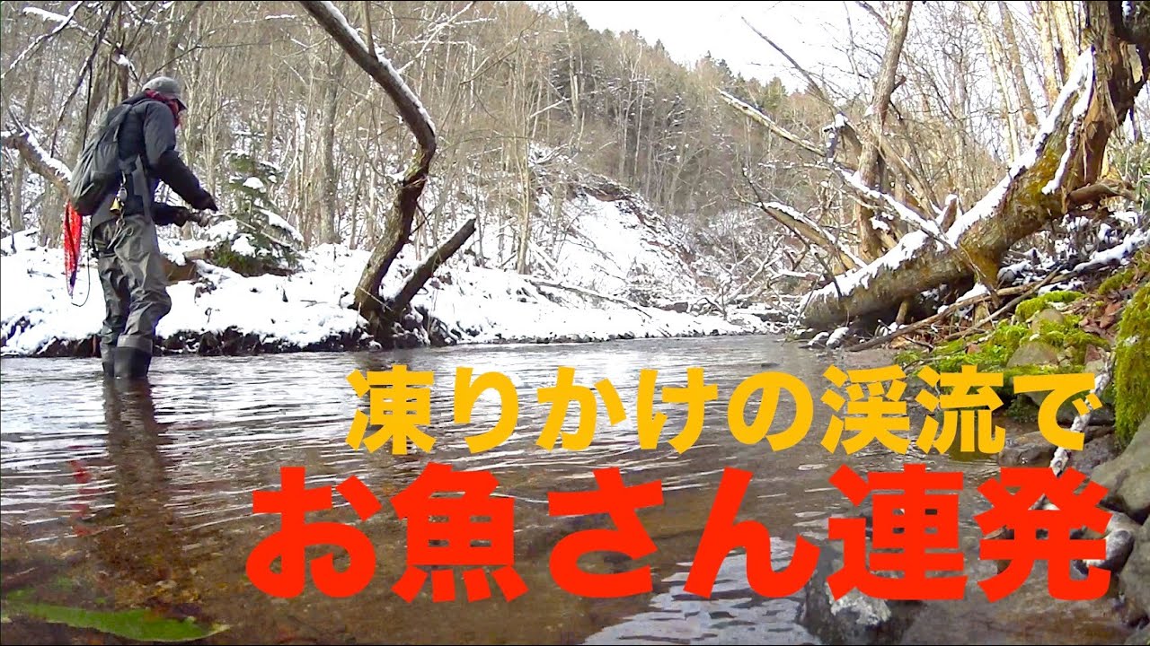 北海道の渓流でルアー釣り 凍りかけの渓流でもお魚さん連発 November 18hokkaido Mountain Stream Fishing 釣りtubeチャンネル