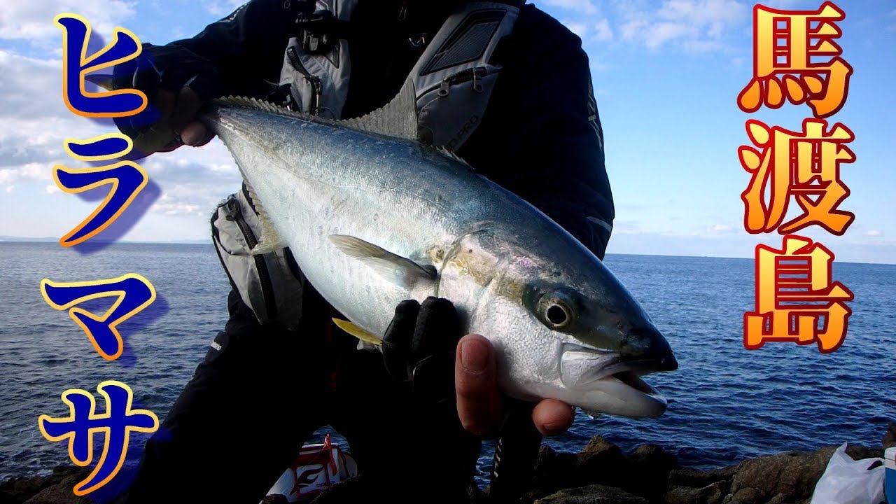 カゴ釣り 佐賀県 馬渡島の磯でヒラマサ釣り 釣りtubeチャンネル