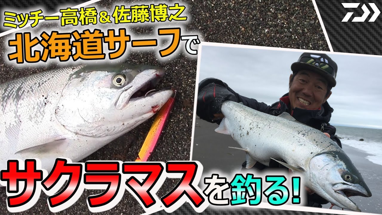 こんなに釣れる サーフからのルアーサクラマス In北海道 釣りtubeチャンネル