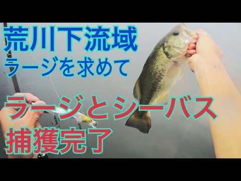 19 荒川下流 荒川 都内 埼玉県 バス釣り シーバス釣り 釣りtubeチャンネル