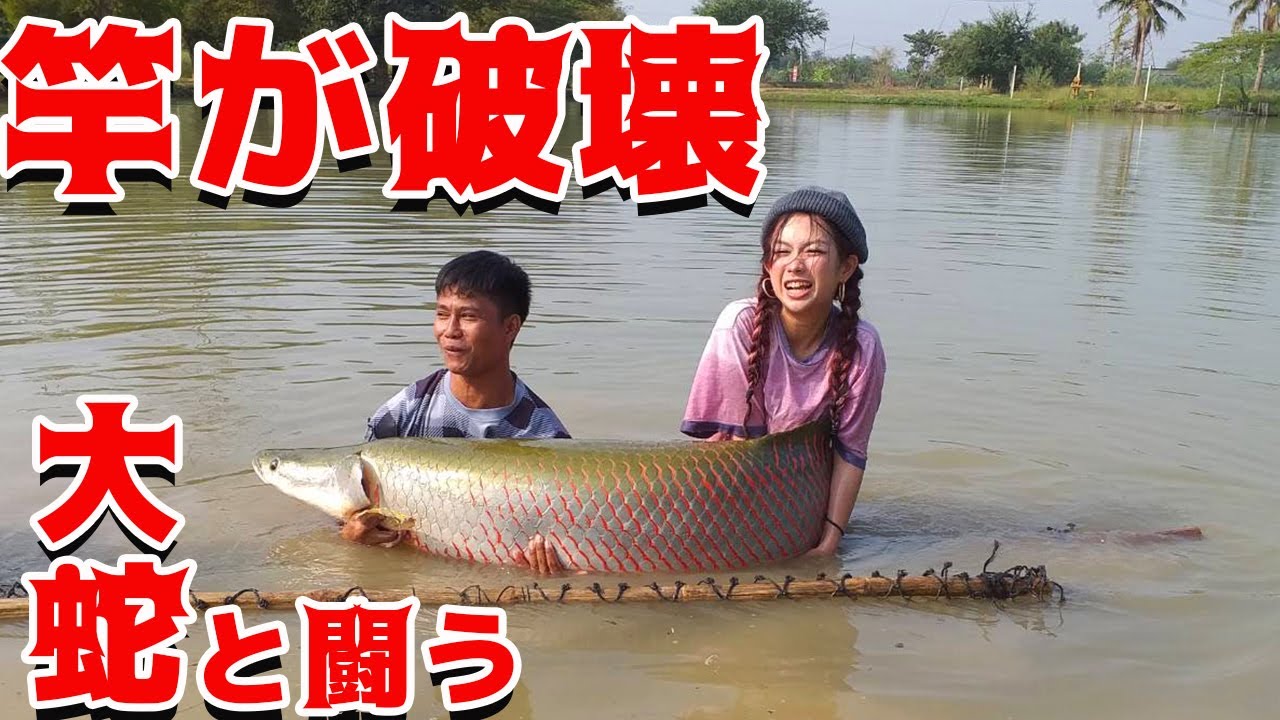 竿を破壊してしまう怪魚ピラルクと闘う タイ女一人旅 4 怪魚ハンター 釣り 釣りガール 釣りtubeチャンネル